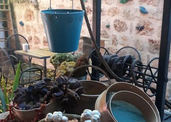 Kuyu Beergarden Hostel