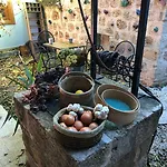 Hostel Kuyu Beergarden Antalya