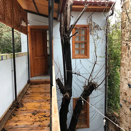 Kuyu Beergarden Hostal *